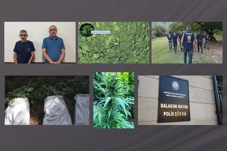 Balakəndə dağlarda narkoplantasiya salan silahlı şəxslər saxlanıldılar