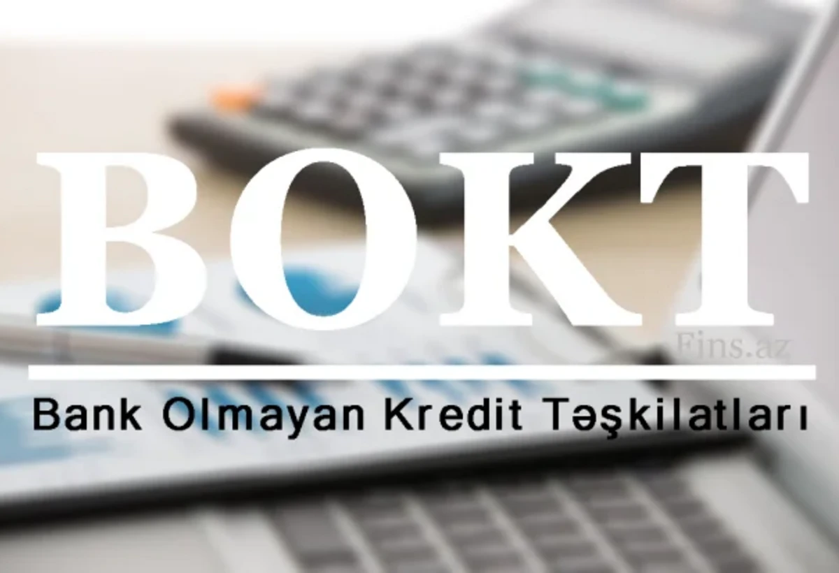 Jalə Hacıyeva: Bazarda daha dayanıqlı, şəffaf və tələblərə cavab verən BOKT-lar qalacaq