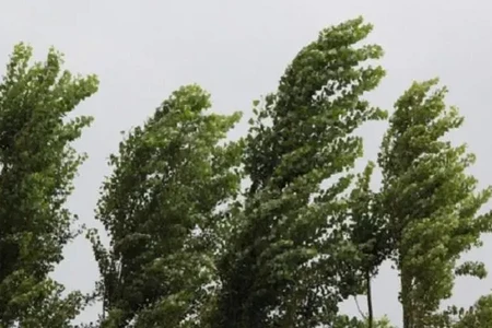 Küləkli hava şəraiti ilə bağlı XƏBƏRDARLIQ