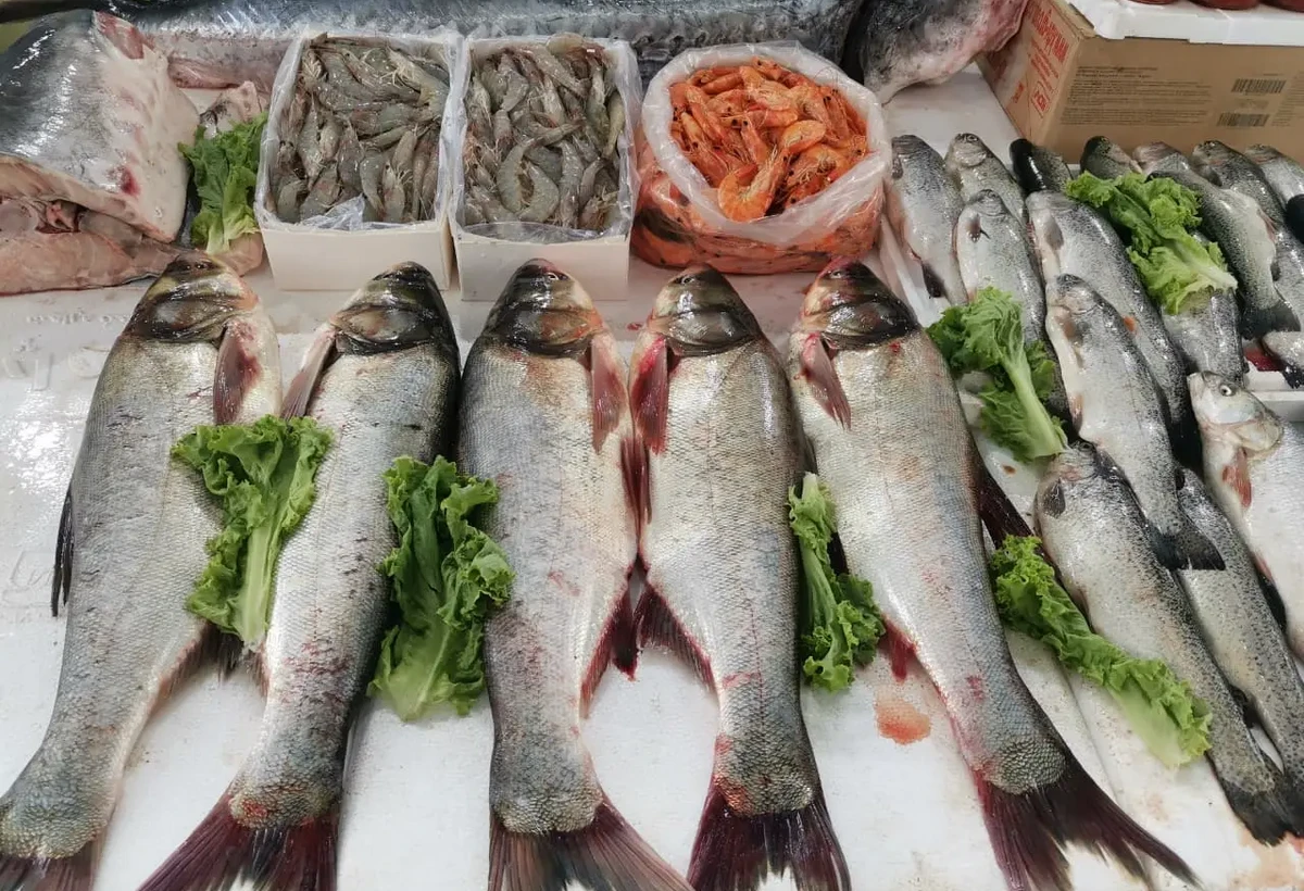Bakıda balıq yarmarkası fəaliyyətə başlayıb