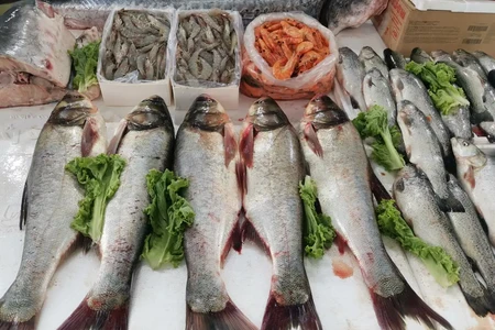 Bakıda balıq yarmarkası fəaliyyətə başlayıb