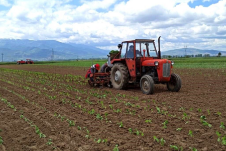 Torpaqların idarə olunmasına nəzarət güclənilməlidir - VİDEO