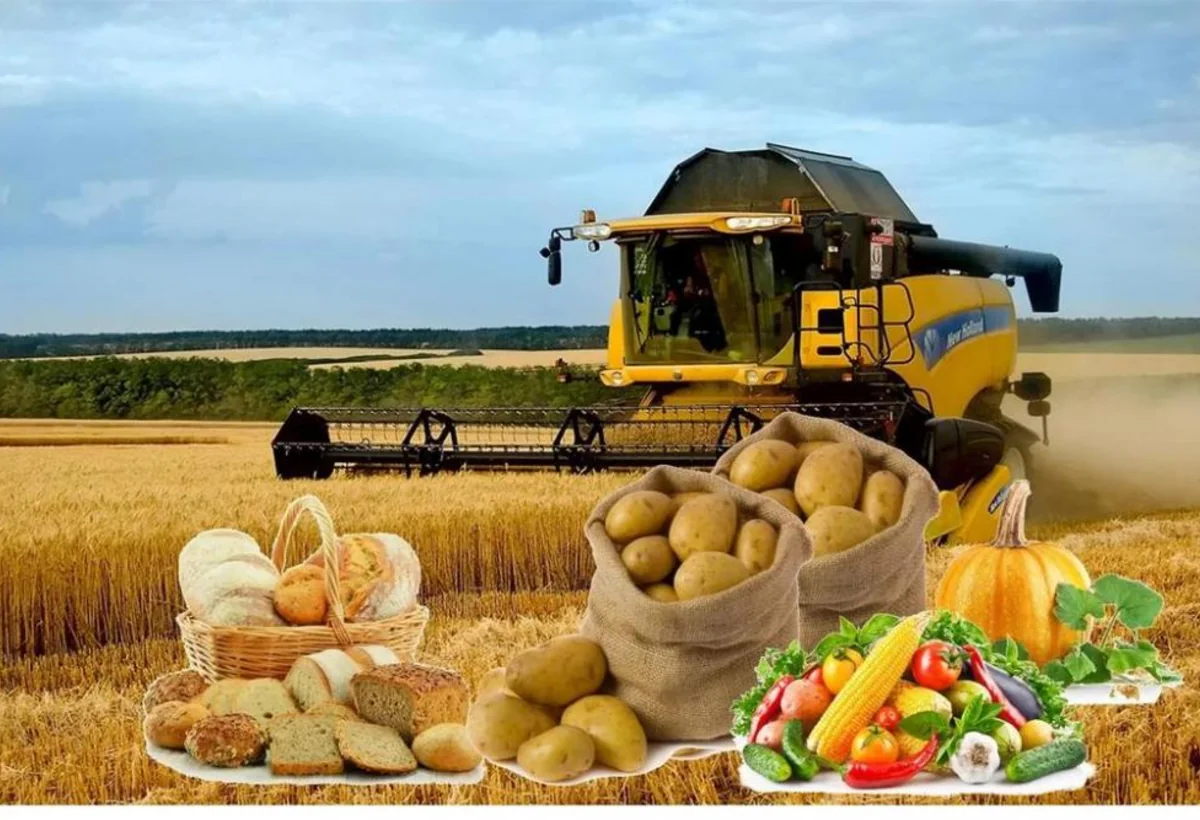 Deputat: Planlı təsərrüfat vacibdir - VİDEO