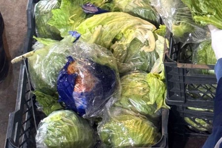 Kələmin içindən 30 kq narkotik çıxdı - FOTO