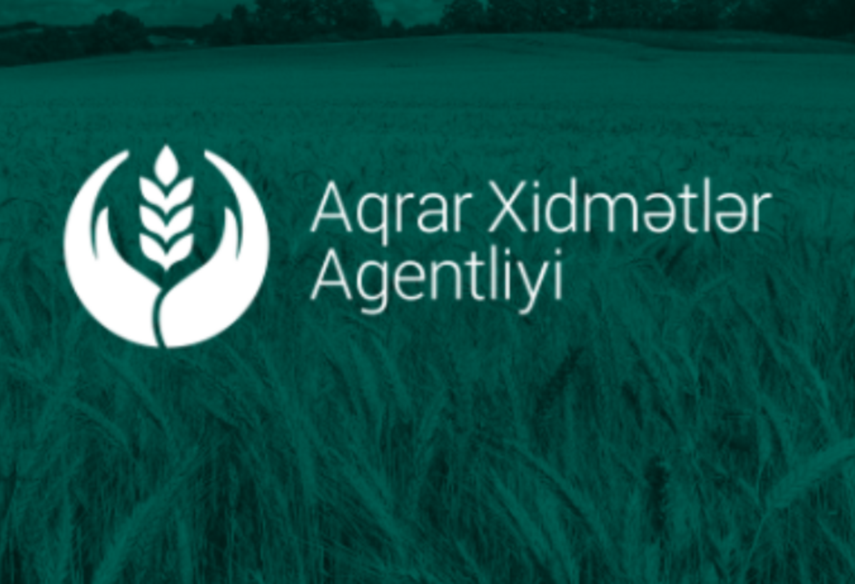 Aqrar Xidmətlər Agentliyində nöqsanlar: heyvanların sayı şişirdilib, xəstəliklərlə bağlı monitorinq aparılmayıb