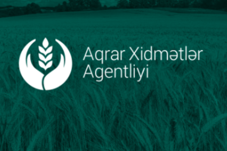 Aqrar Xidmətlər Agentliyində nöqsanlar: heyvanların sayı şişirdilib, xəstəliklərlə bağlı monitorinq aparılmayıb
