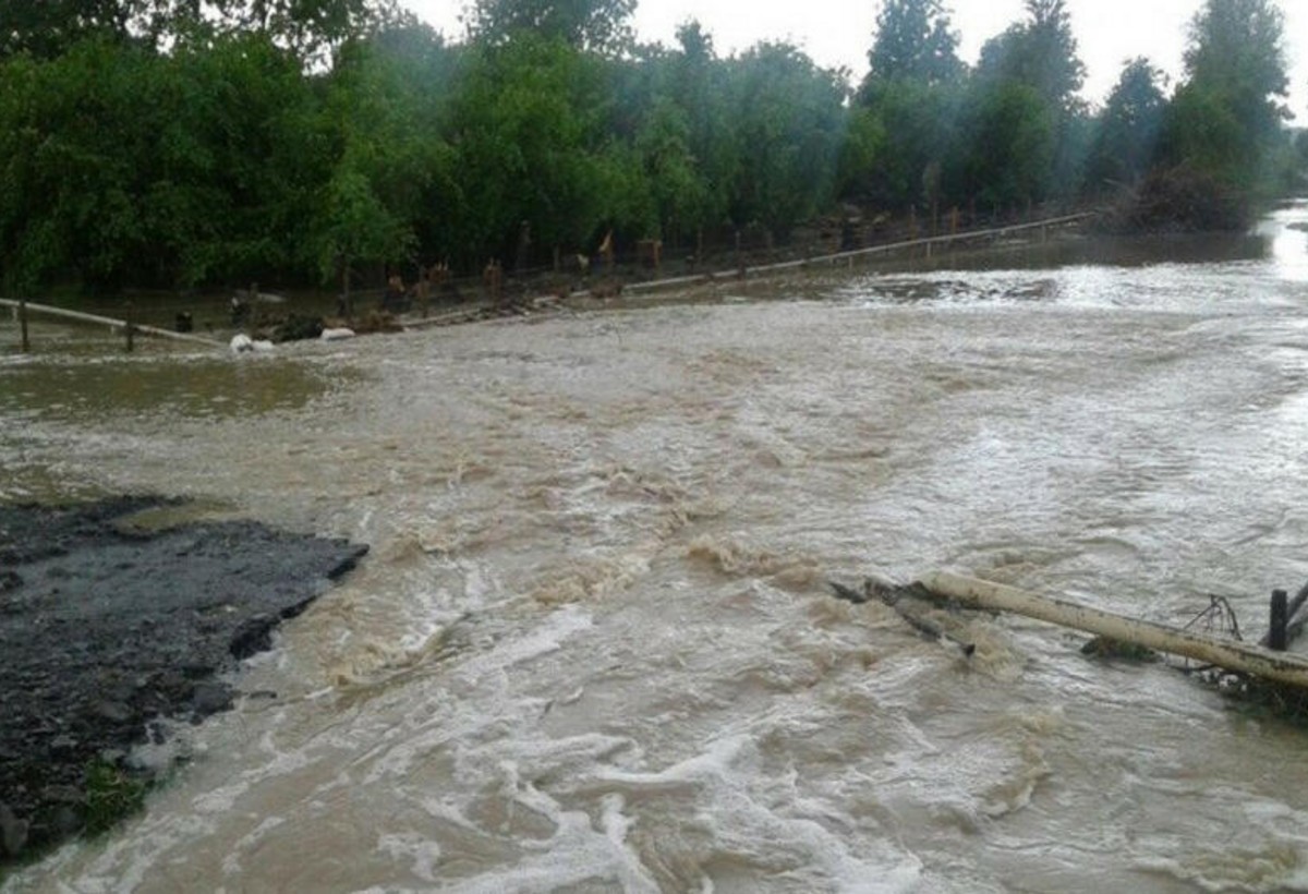 Zaqataladan sel keçib