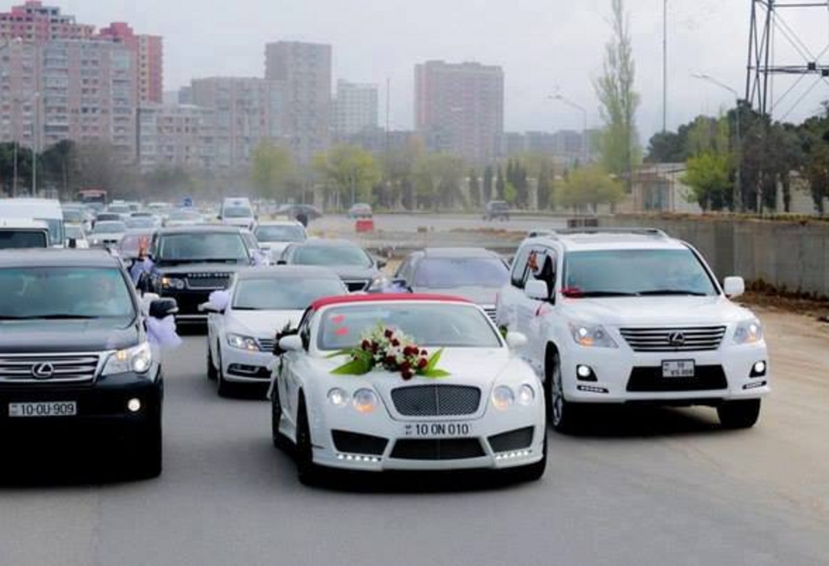 DYP toy karvanlarında maşın sayının azaldılmasına çağırır