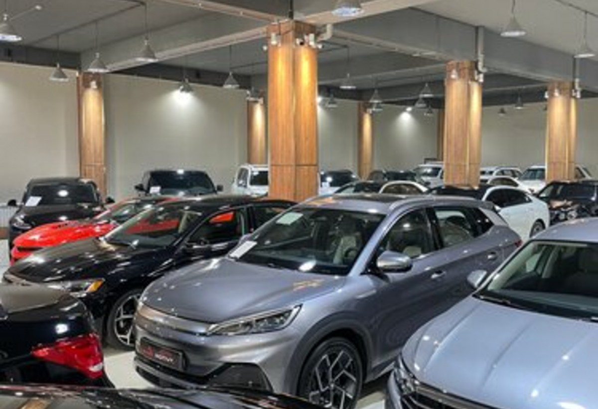 Bakıda məşhur avtosalona 1 milyondan çox CƏRİMƏ
