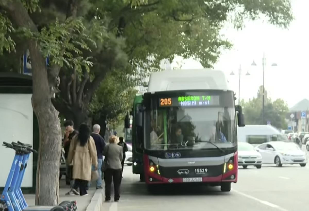 Bakı küçələrində ağac budaqları nəqliyyat axınına problem yaradır - VİDEO