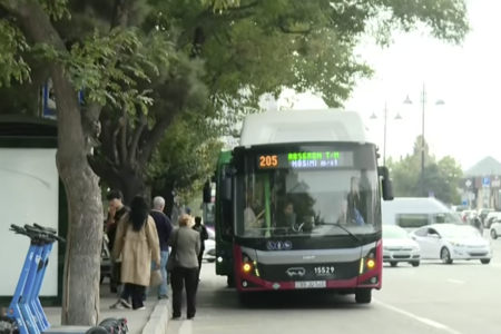 Bakı küçələrində ağac budaqları nəqliyyat axınına problem yaradır - VİDEO