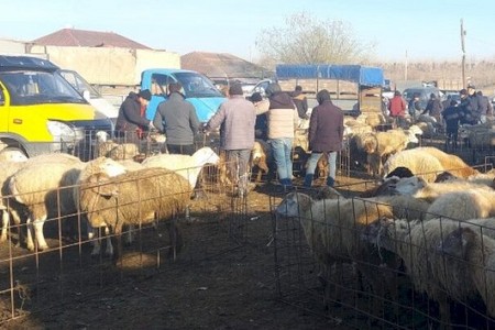 Bu gündən mal bazarları bağlanır