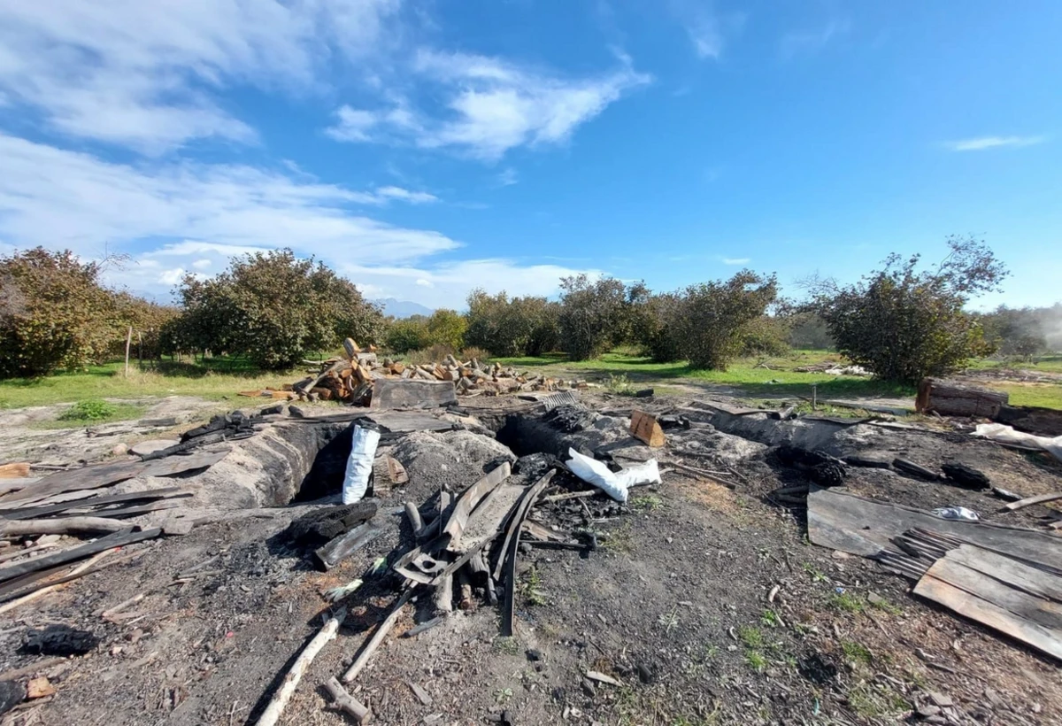 Oğuzun kəndlərində kömür quyuları aşkarlandı
