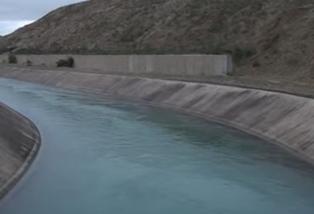 Heyvanlar özünü kanala atır - ŞABRANDA TƏHLÜKƏ