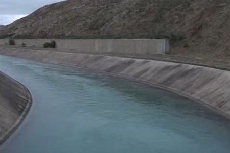 Heyvanlar özünü kanala atır - ŞABRANDA TƏHLÜKƏ