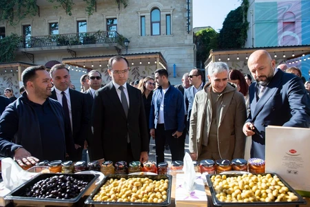 Nazir zeytunçuluğun inkişafından danışdı