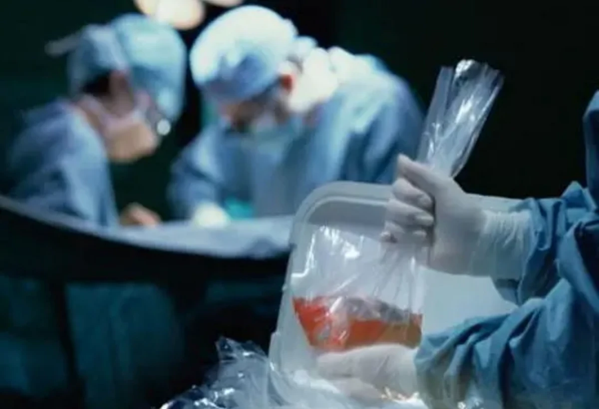 Meyit donordan orqan köçürülməsini gözləyənlərin sayı çoxalıb