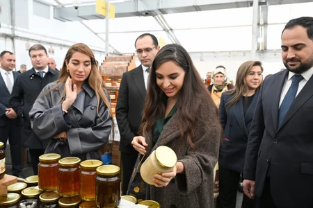 Leyla Əliyeva və Arzu Əliyeva arıçılıq məhsullarının sərgi-satış yarmarkasında - FOTO