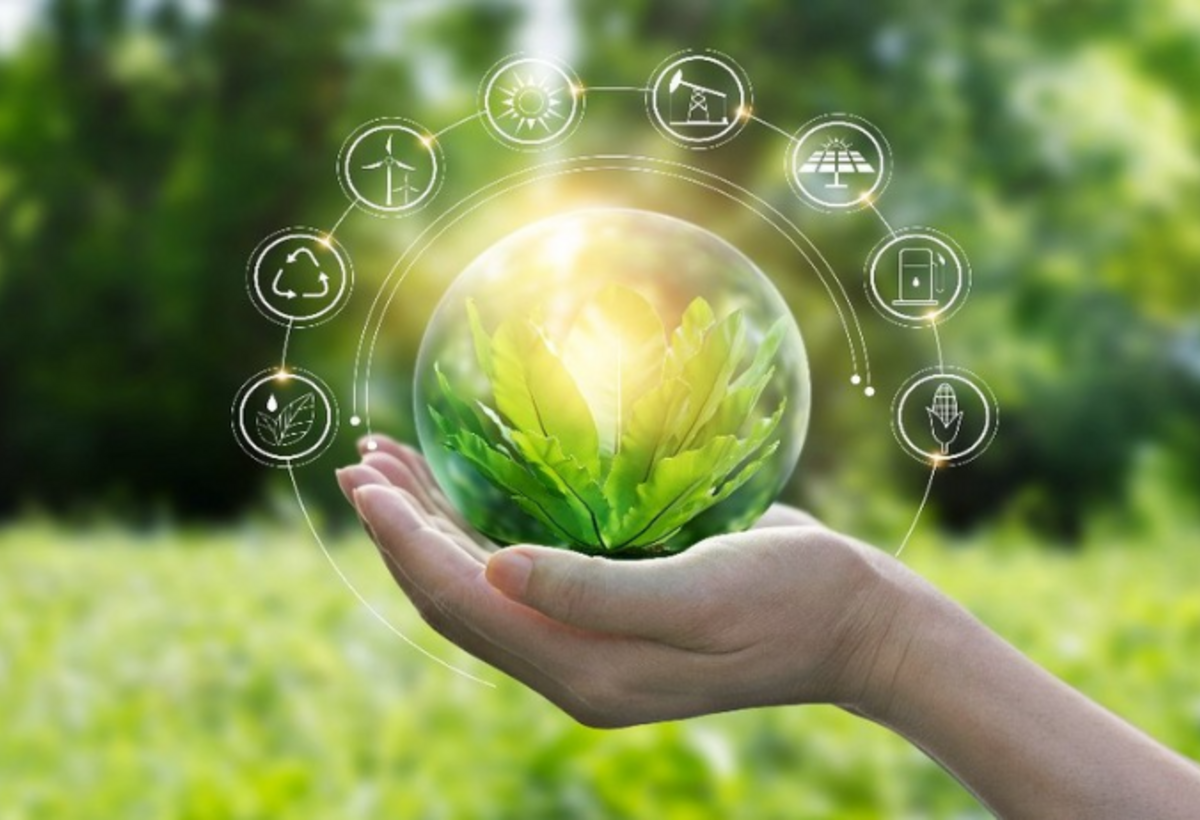 Azərbaycanda “Yaşıl büdcə” mexanizminin yaradılması təklif olunur