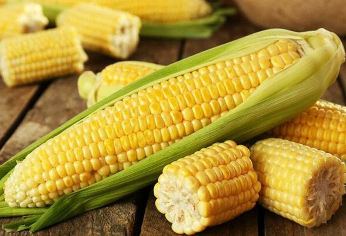 Azərbaycana gətirilən qarğıdalının qiyməti 25 % artıb