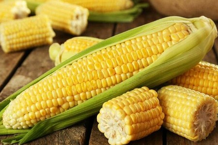 Azərbaycana gətirilən qarğıdalının qiyməti 25 % artıb