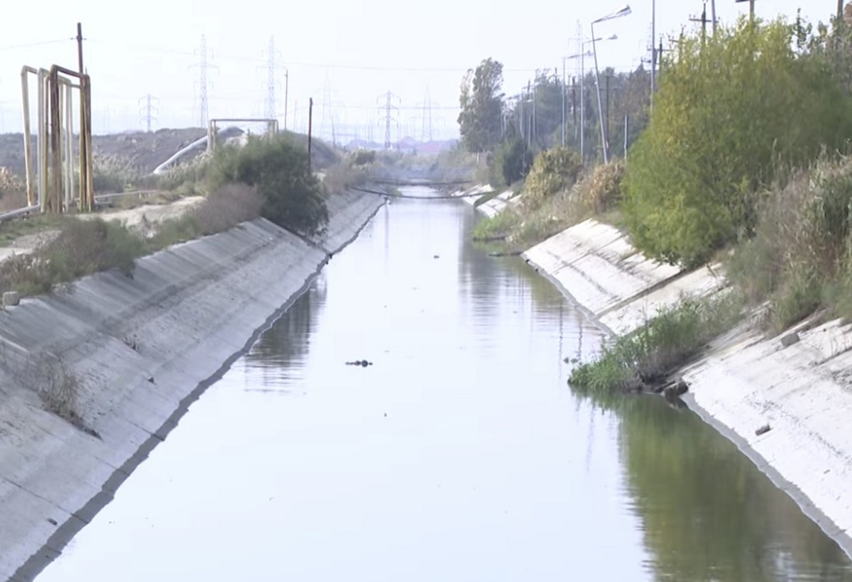 Kanalda suyun rəngi dəyişib, balıqlar kütləvi şəkildə tələf olur - VİDEO