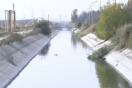 Kanalda suyun rəngi dəyişib, balıqlar kütləvi şəkildə tələf olur - VİDEO