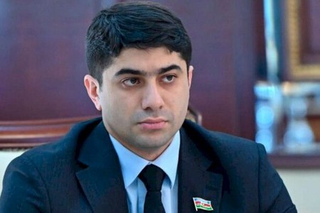 Milli Məclisin danışmayan, yalnız şəkil çəkdirən deputatı - FOTO