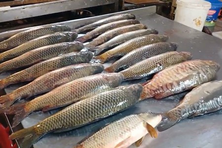 Dabaq xəstəliyi balıq satanların bazarını aktivləşdirib - VİDEO