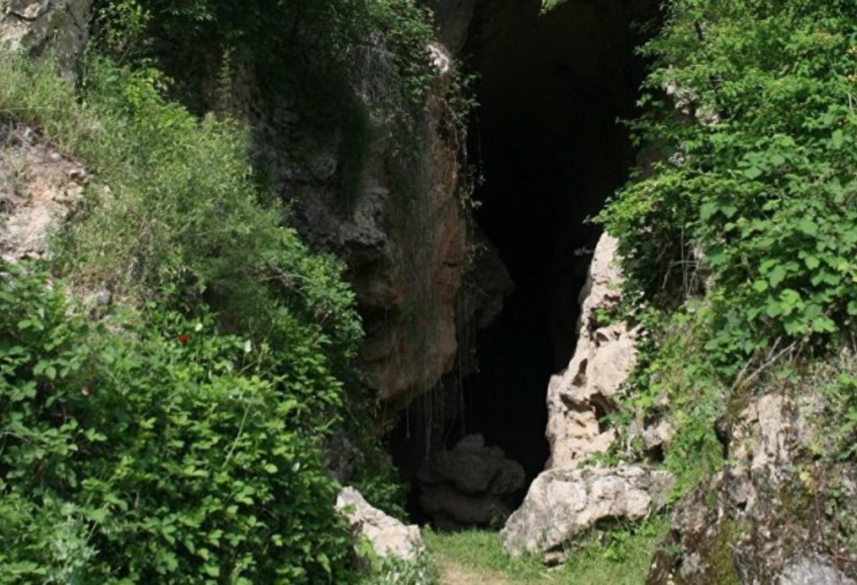 Alman və yapon arxeoloqlar Azıx mağarasında