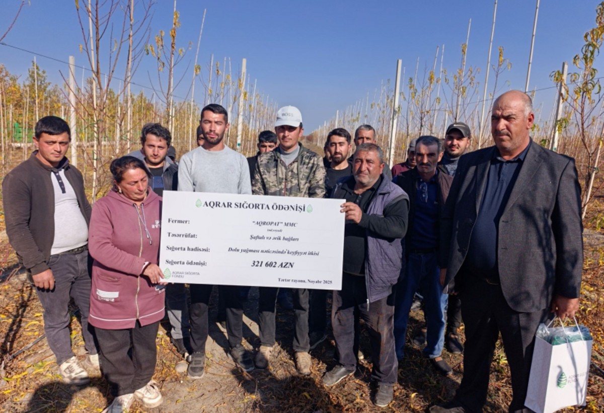 Azərbaycanda ilk dəfə meyvənin dəyərinin azalması üzrə aqrar sığorta ödənişi edilib