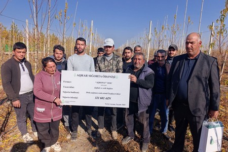 Azərbaycanda ilk dəfə meyvənin dəyərinin azalması üzrə aqrar sığorta ödənişi edilib