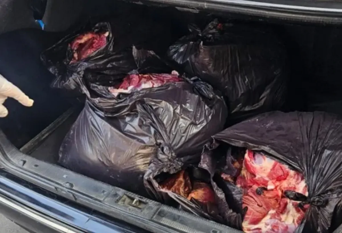 At ətini mal əti adı ilə Bakıya gətirirmiş - FOTO