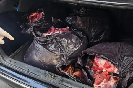 At ətini mal əti adı ilə Bakıya gətirirmiş - FOTO