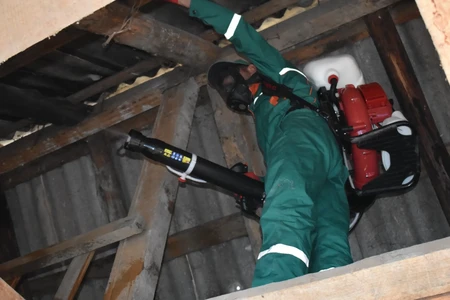 Qəhvəyi mərmər bağacığına qarşı 79 kənddə kimyəvi mübarizə aparıldı