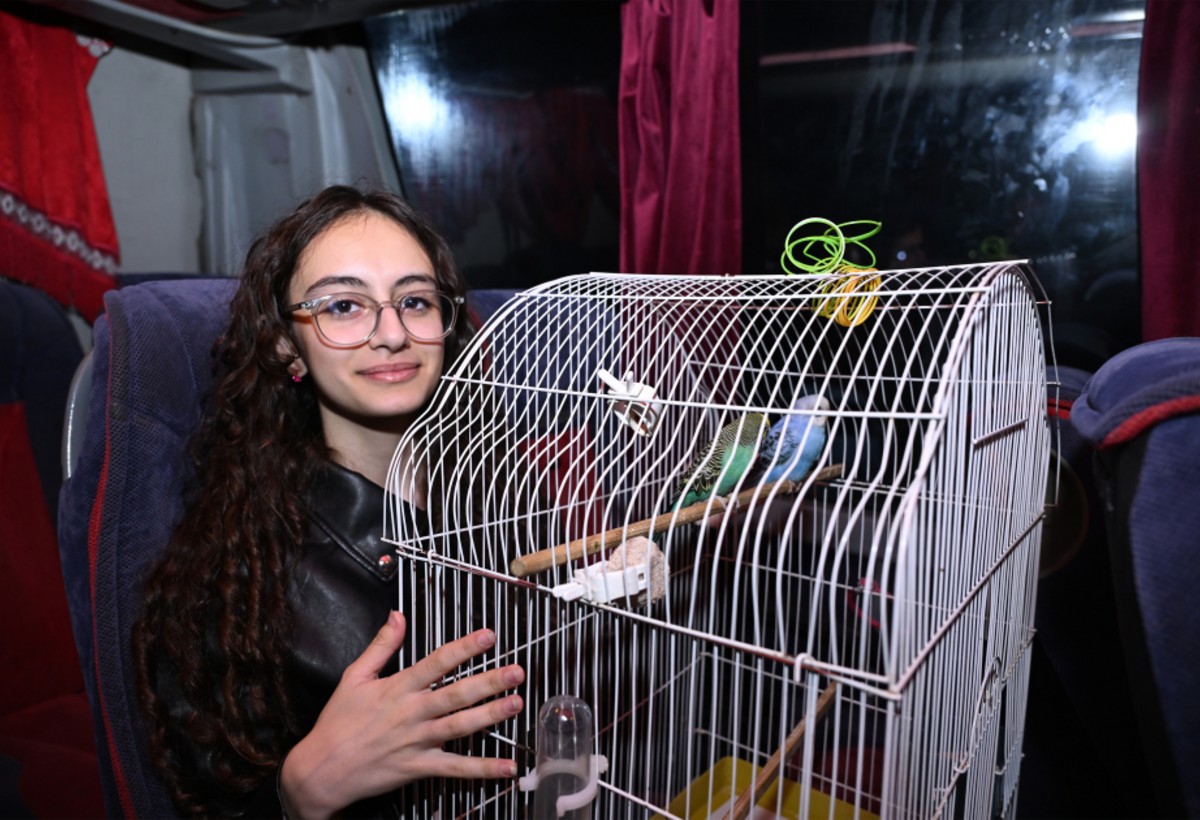 Zəngilana KÖÇDÜLƏR - FOTO