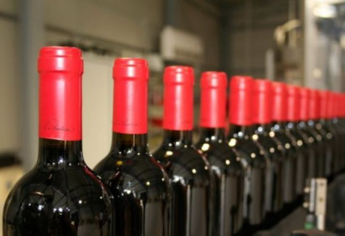 Şərab zavodunun borcu yarım milyon manata çatır