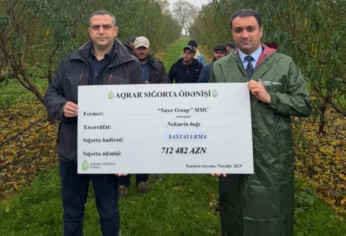Nektarin və badam bağlarının zərərinə görə 1 milyon manat sığorta ödənişi oldu