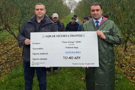 Nektarin və badam bağlarının zərərinə görə 1 milyon manat sığorta ödənişi oldu