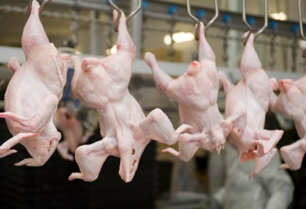 Bu ölkələrdən ət idxalına müvəqqəti məhdudiyyət tətbiq edildi