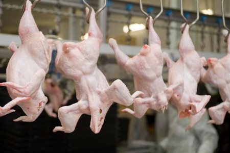 Bu ölkələrdən ət idxalına müvəqqəti məhdudiyyət tətbiq edildi