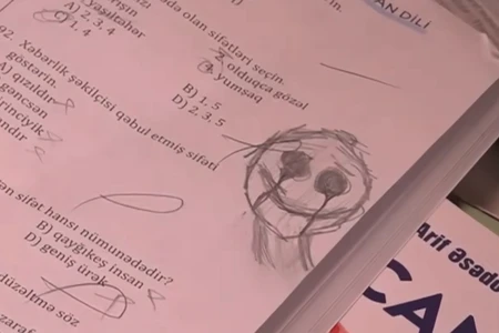 Gecə telefonda qorxulu videolara baxırmış: Yeniyetmə qızın sirrli ölümü - VİDEO