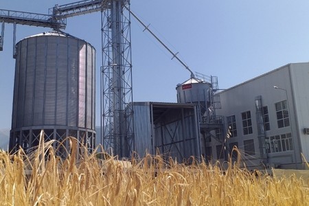 Azərbaycanın taxılçılıq müəssisəsi səhmdarlarına hesabat verəcək