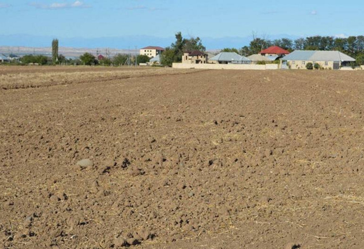 İlin əvvəli 50-dək torpaq sahəsi hərraca çıxarılacaq