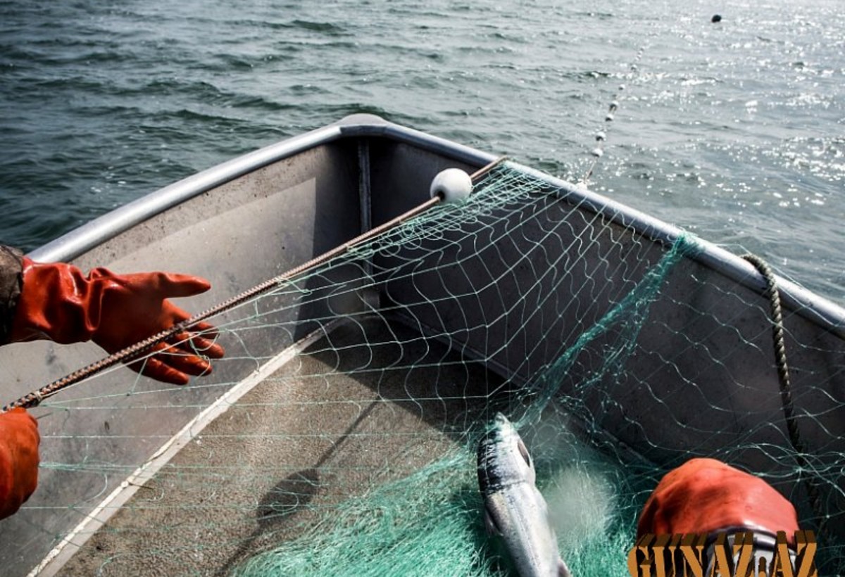 Xəzərdə balıqçılar itkin düşdü