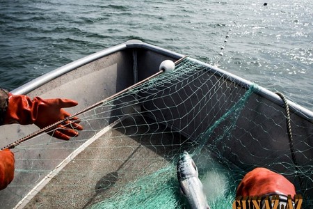 Xəzərdə balıqçılar itkin düşdü