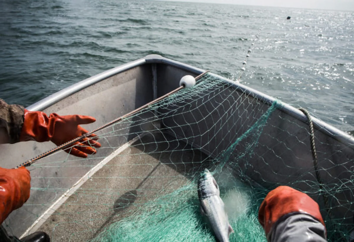 Xəzərdə balıqçılar itkin düşdü