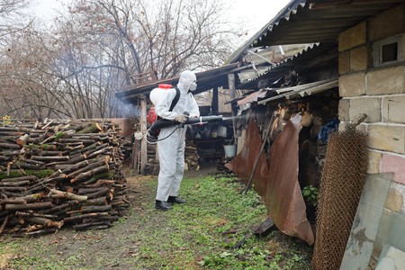 Regionlarda mərmər bağacığı ilə mübarizə nə yerdədir?