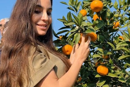 Leyla Əliyeva Lənkəran səfərindən paylaşım edib
