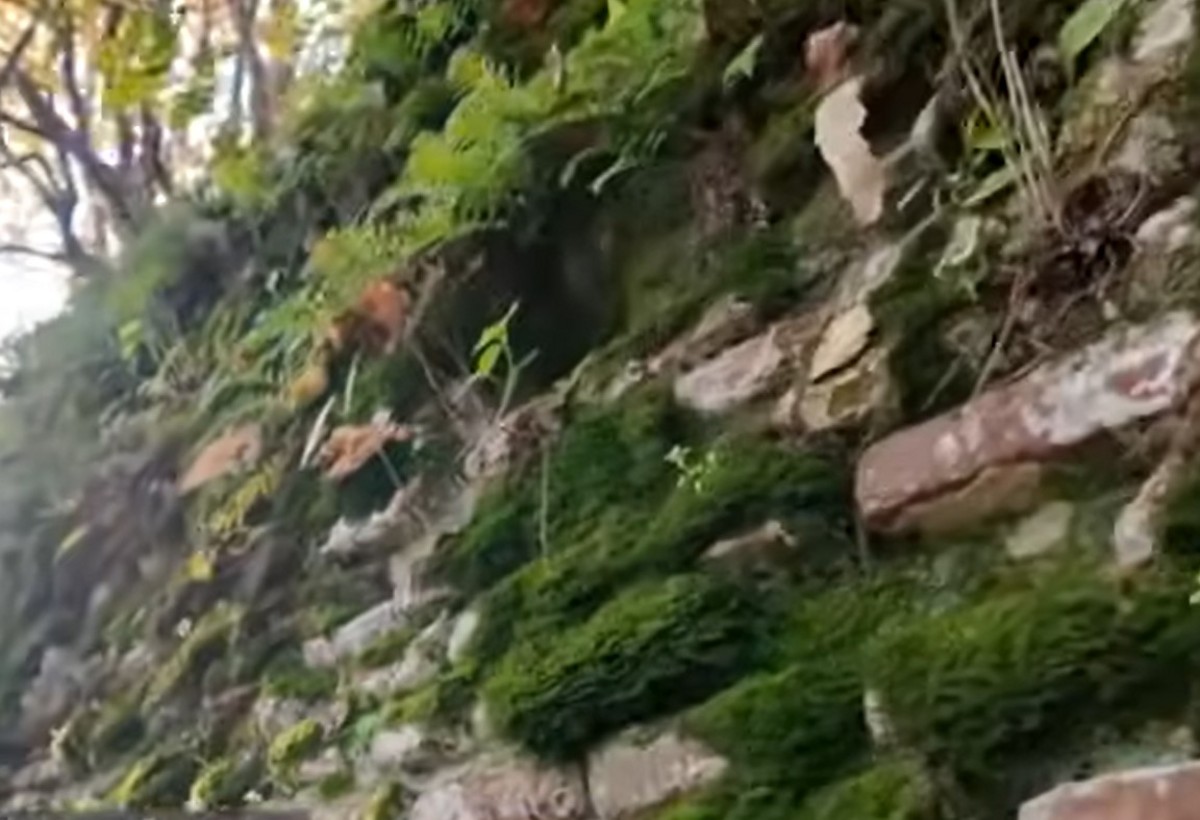 Parisin Luvr muzeyində təmsil olunan Lənkəran qalası - VİDEO